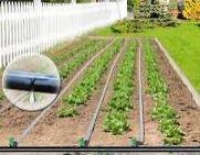 Drip Irrigation - 1