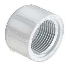 Cap FIPT 3/4" PVC