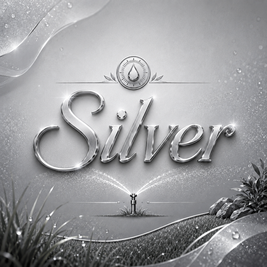 Silver Package