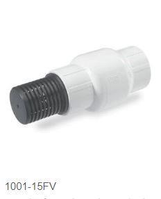 2" PVC FOOT VALVE with Screen