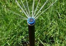 Heads Sprinkler